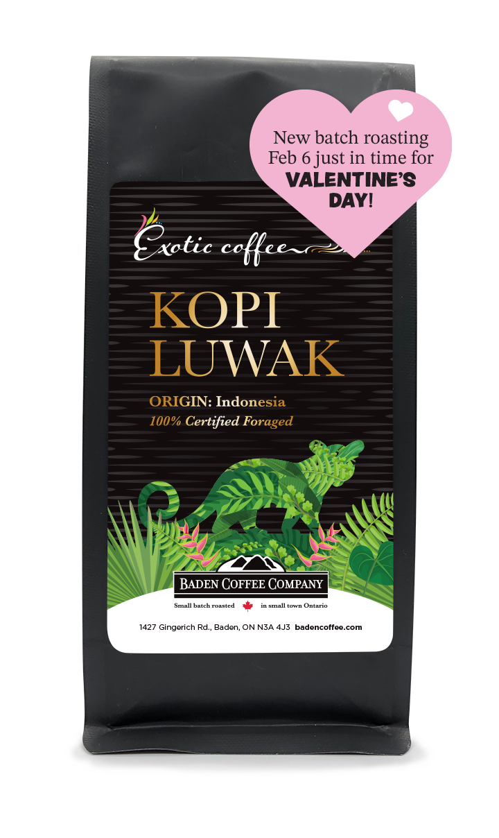 Kopi Luwak